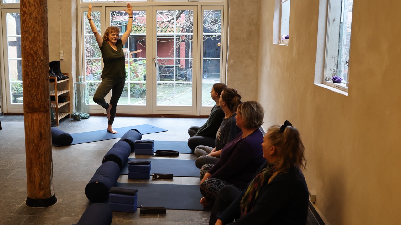Hverdagsyoga-yogadamen